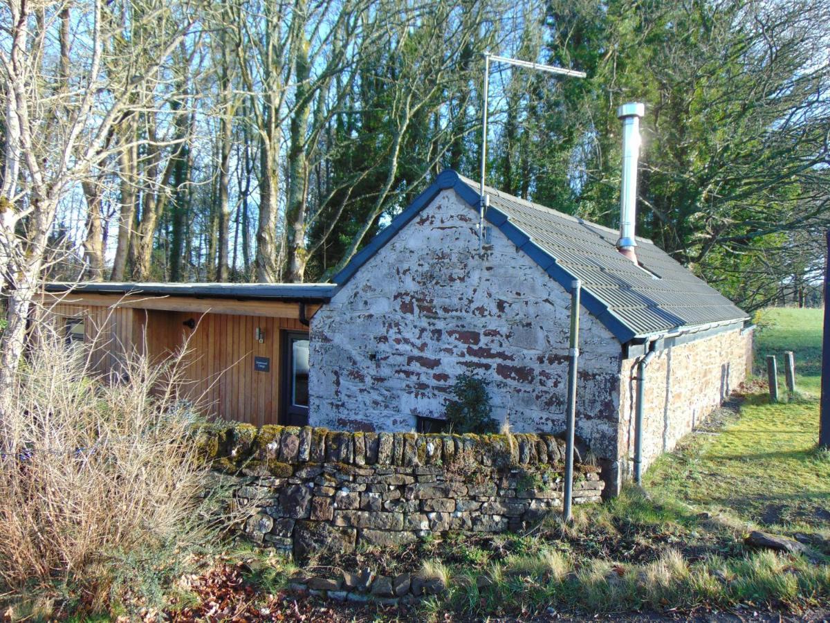 Dreamwood Cottage, Loch Lomond, Luxury Apartment. Glasgow Exterior photo